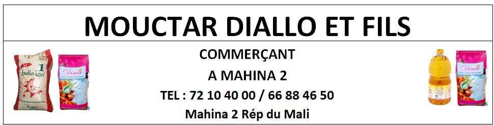 MOUCTAR DIALLO ET FILS